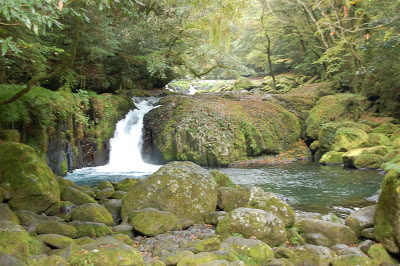 菊池水源